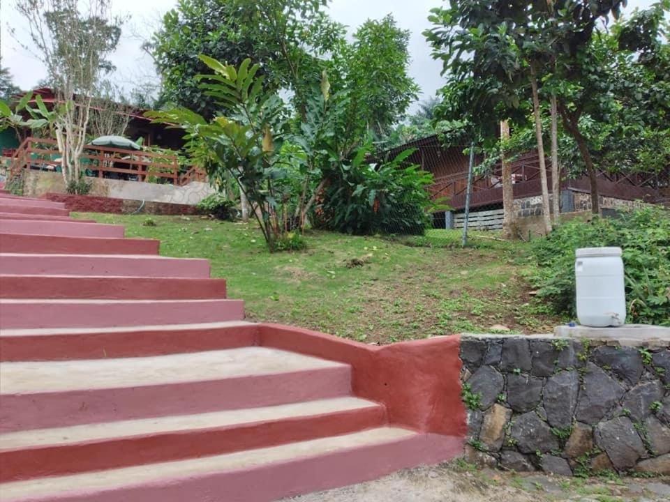 Guest House Quinta Natural Bangalots Graca ภายนอก รูปภาพ