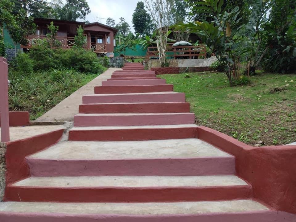 Guest House Quinta Natural Bangalots Graca ภายนอก รูปภาพ