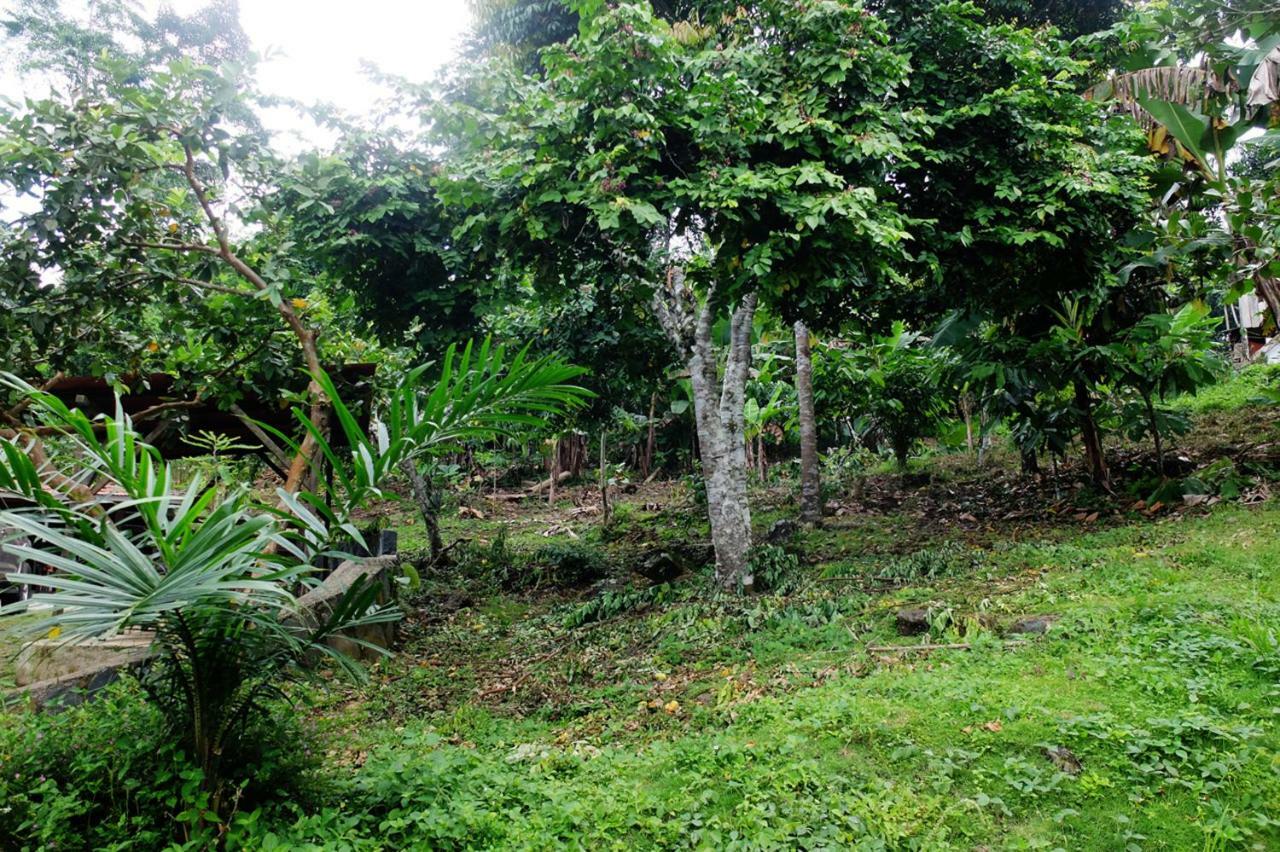Guest House Quinta Natural Bangalots Graca ภายนอก รูปภาพ