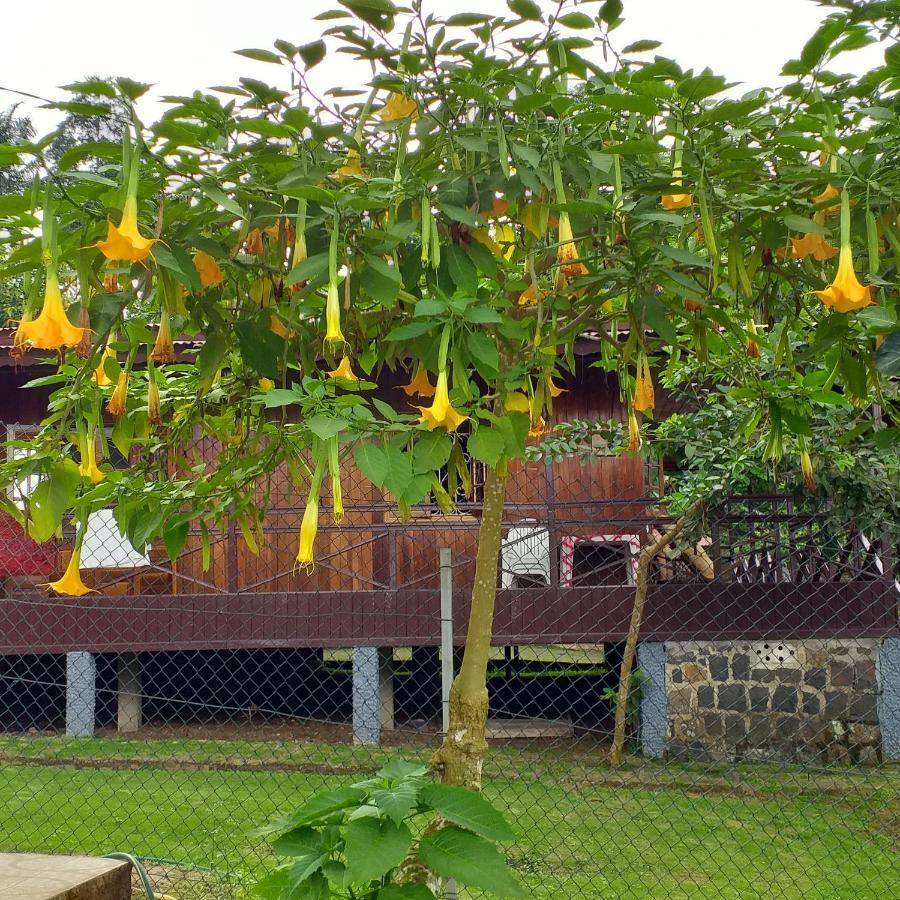 Guest House Quinta Natural Bangalots Graca ภายนอก รูปภาพ