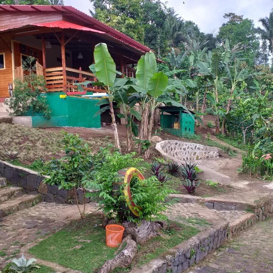 Guest House Quinta Natural Bangalots Graca ภายนอก รูปภาพ