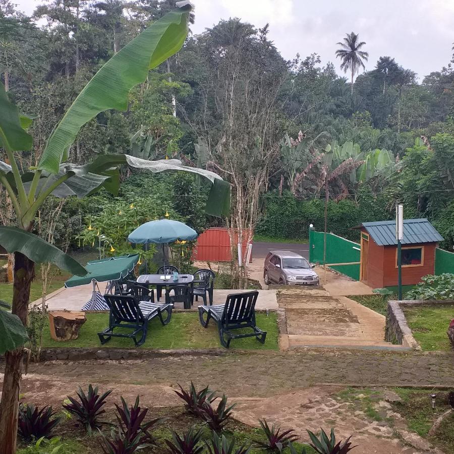 Guest House Quinta Natural Bangalots Graca ภายนอก รูปภาพ