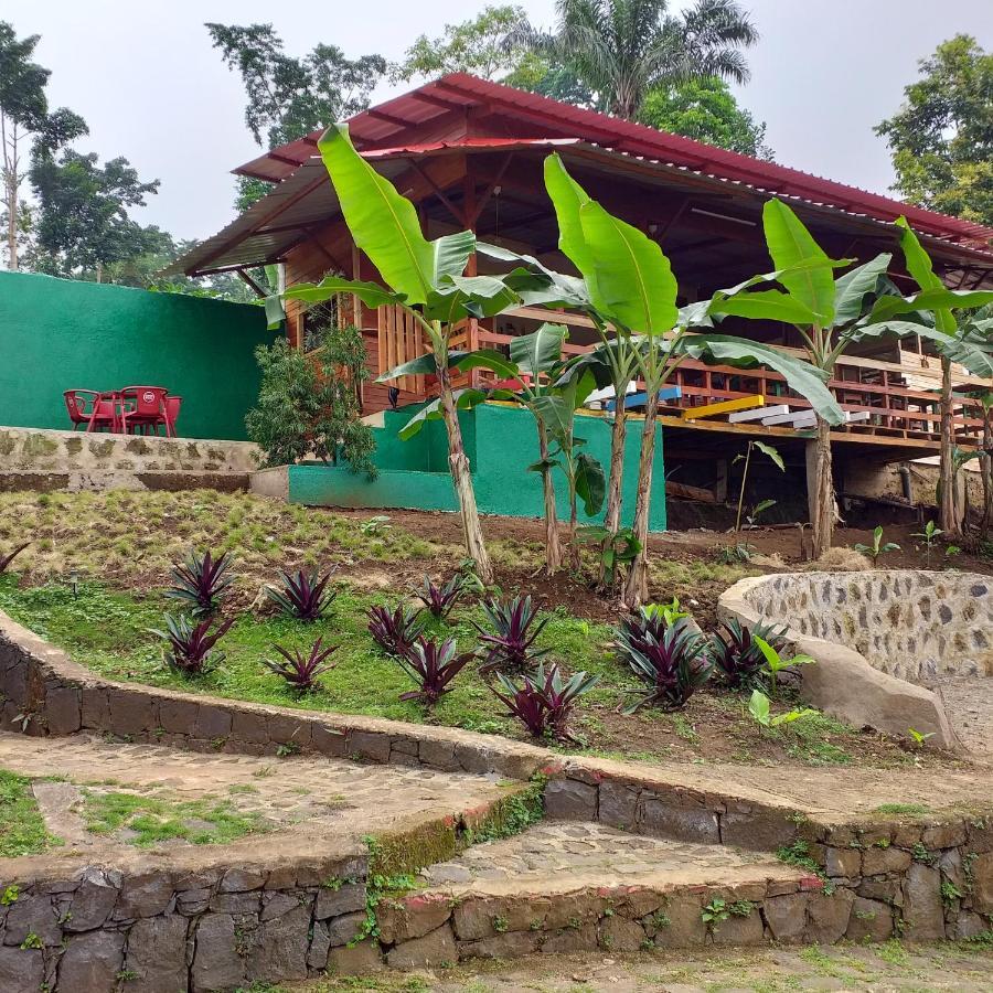 Guest House Quinta Natural Bangalots Graca ภายนอก รูปภาพ
